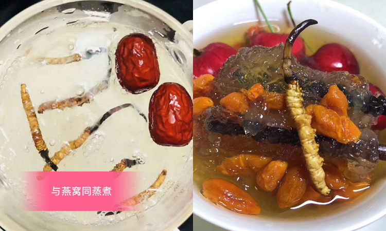 新鮮蟲草燕窩羹和銀耳湯 新鮮蟲草燕窩羹和銀耳湯