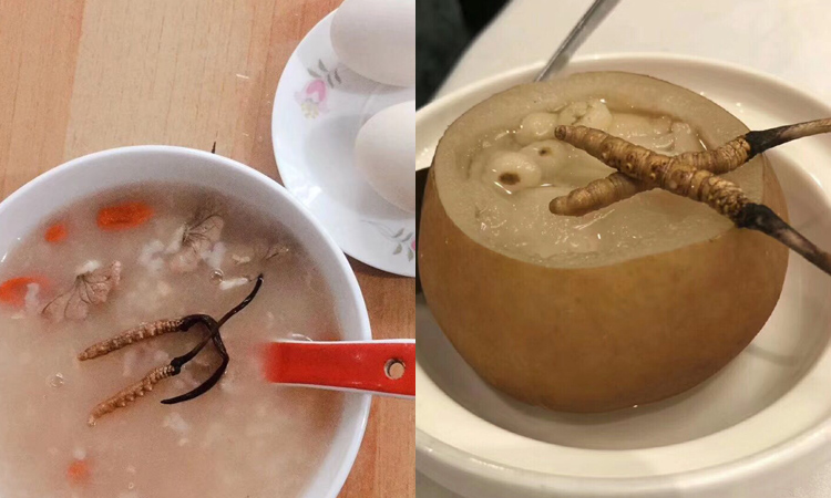 新鮮蟲草煮粥蒸梨 新鮮蟲草煮粥蒸梨