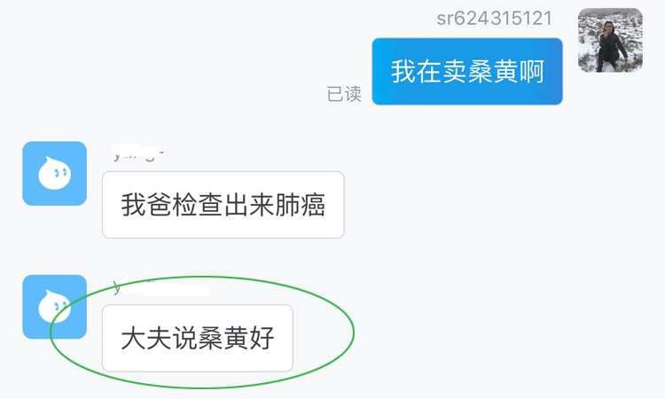 醫生建議肺癌吃桑黃 醫生建議肺癌吃桑黃