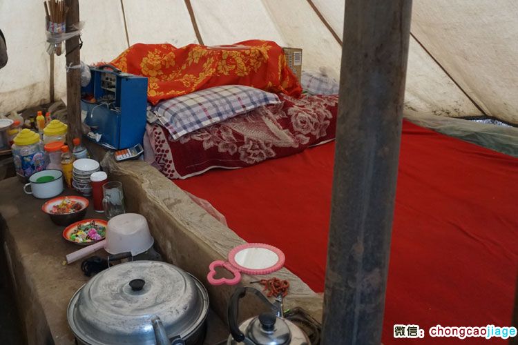 冬蟲夏草臨時帳篷內部擺設圖片 冬蟲夏草臨時帳篷內部擺設圖片