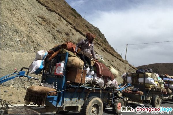 開(kāi)農(nóng)用拖拉機(jī)去采挖蟲草