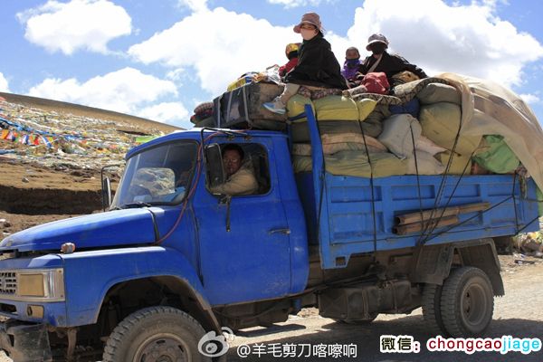 開(kāi)卡車去采挖冬蟲夏草