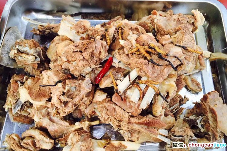 羊肉燉冬蟲夏草 羊肉燉冬蟲夏草