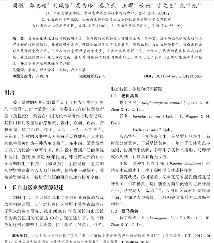 長白山桑黃種類 長白山桑黃種類