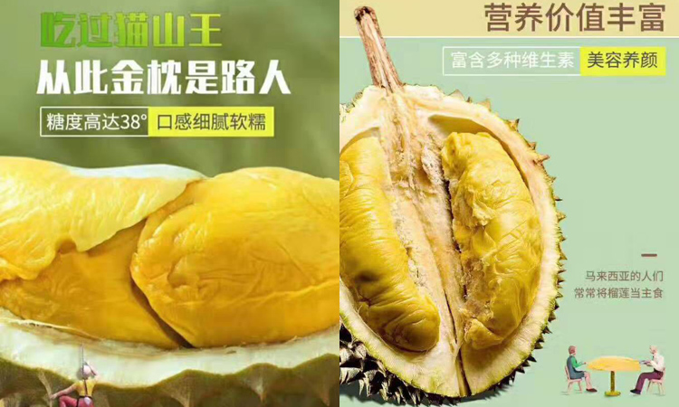 貓山王榴蓮營(yíng)養(yǎng)價(jià)值 貓山王榴蓮營(yíng)養(yǎng)價(jià)值