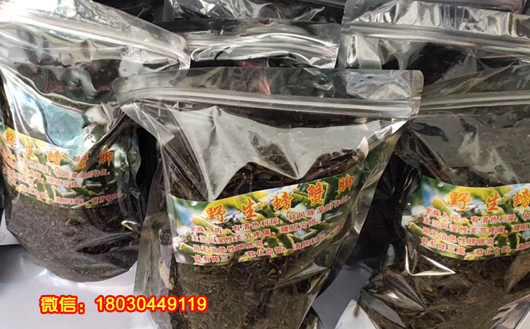 野生螃蟹腳茶圖片 野生螃蟹腳茶圖片