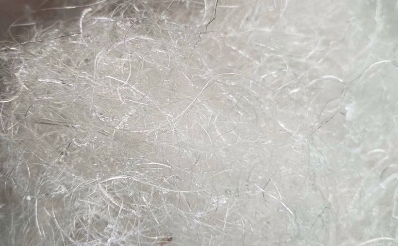 長龍須雪燕圖片