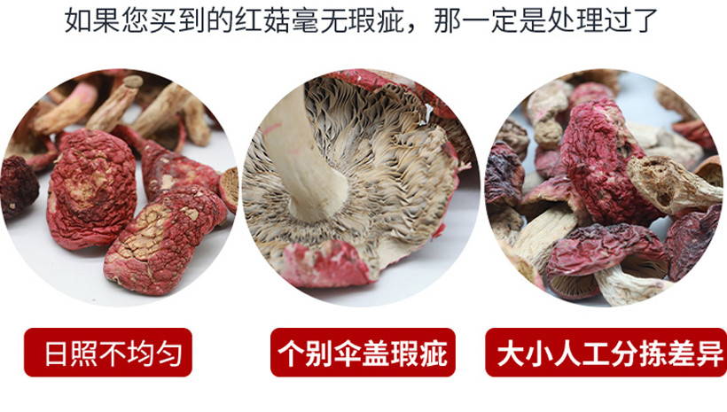 野生紅菇特征圖片