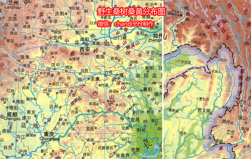 桑樹桑黃產(chǎn)地分布圖