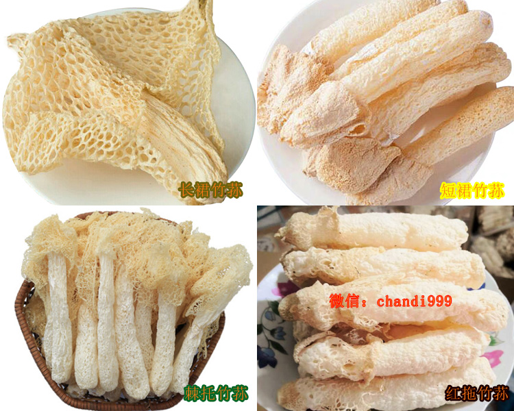 紅拖竹蓀和其它竹蓀的區(qū)別 紅拖竹蓀和其它竹蓀的區(qū)別