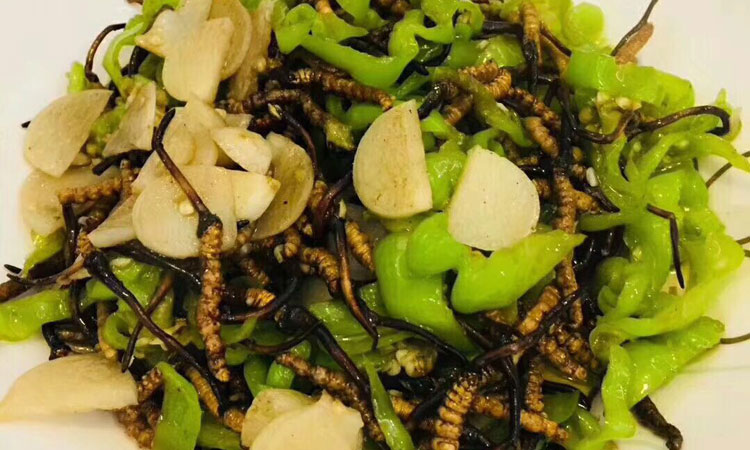 冬蟲夏草炒青椒圖片 冬蟲夏草炒青椒圖片