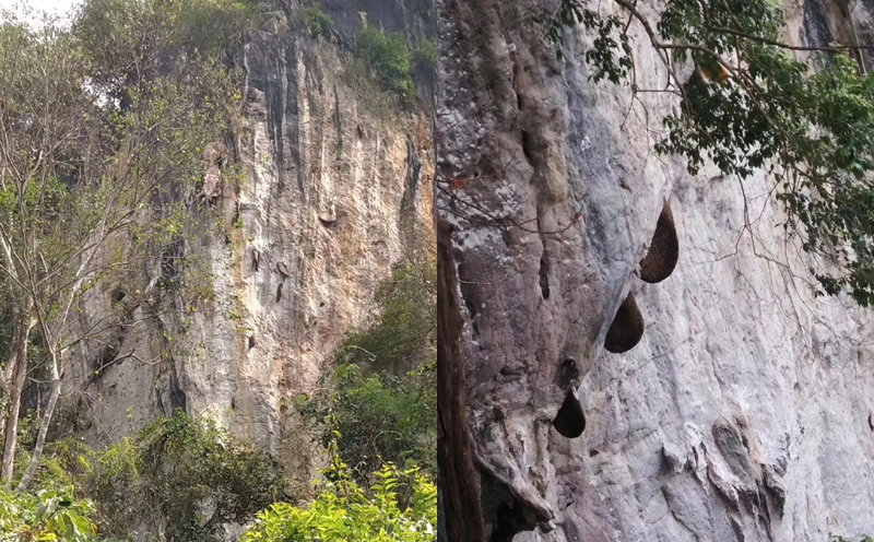 巖蜜圖片 巖蜜圖片