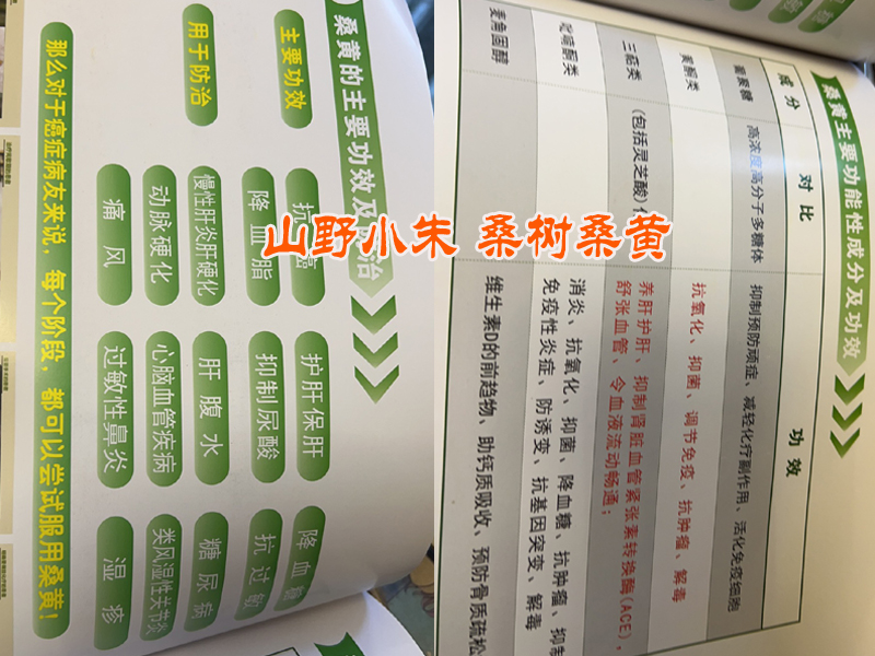 桑黃功效和作用圖片 桑黃功效和作用圖片