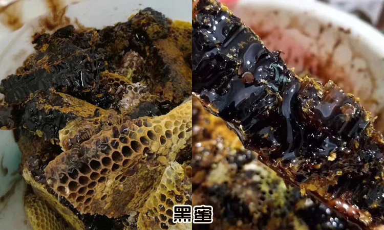 野生黑蜜圖片 野生黑蜜圖片